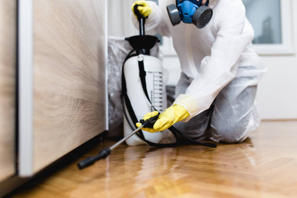 Best Commercial Pest Control Services  in Yaphank, NY