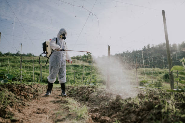 Best Affordable Pest Control Services  in Yaphank, NY