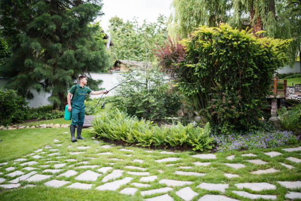 Best Pest Control for Homes  in Yaphank, NY