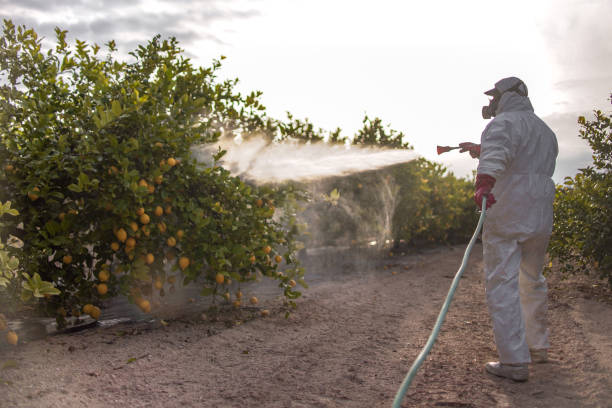 Best Pest Removal Services  in Yaphank, NY